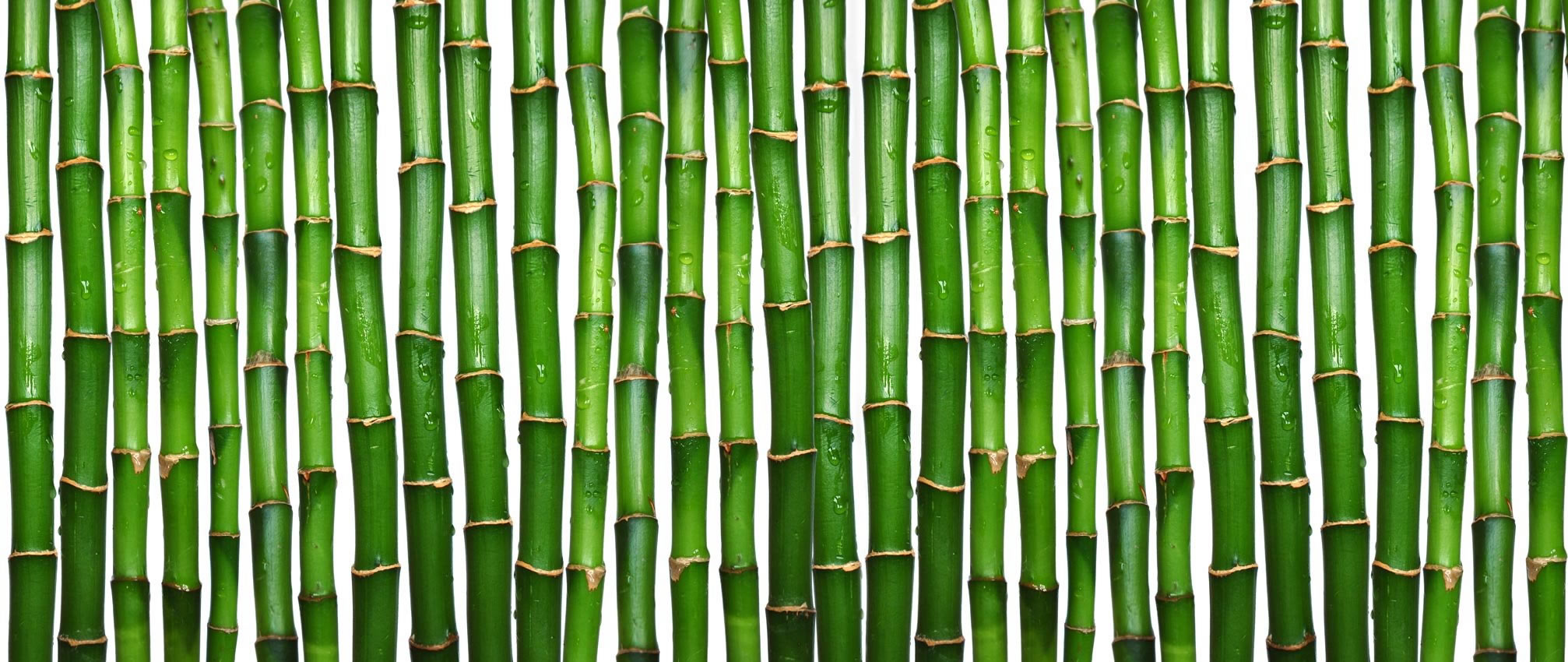 Torre feita de bambu transforma umidade do ar em água potável